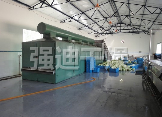 DWC系列脱水蔬菜带式干燥机